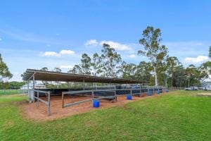 80 Owen St East Images LRG-16