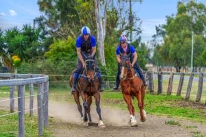 80 Owen St East Images LRG-19