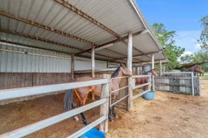 80 Owen St East Images LRG-23