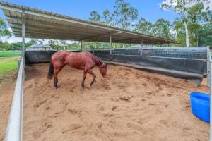 80 Owen St East Images LRG-25