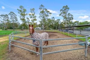 80 Owen St East Images LRG-26